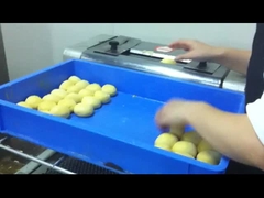 CG-38 電動トースター